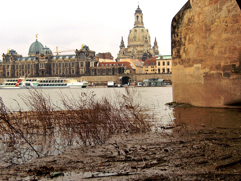 0015: Der Schoß ist fruchtbar noch (Dresden 2009)