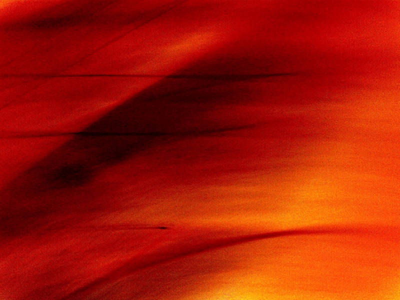 0088: Keine Roten Rehe im Detail (Hamburg 2008)