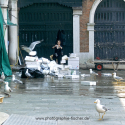 ITA0005 o.T. (Am Fischmarkt; Venedig/I 2009)