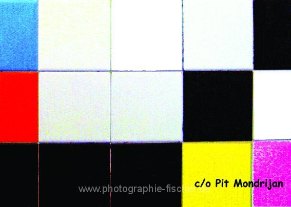PK0503: c/o Pit Mondrijan (Guggenheim Museum, Herren WC, Bilbao 2009)
