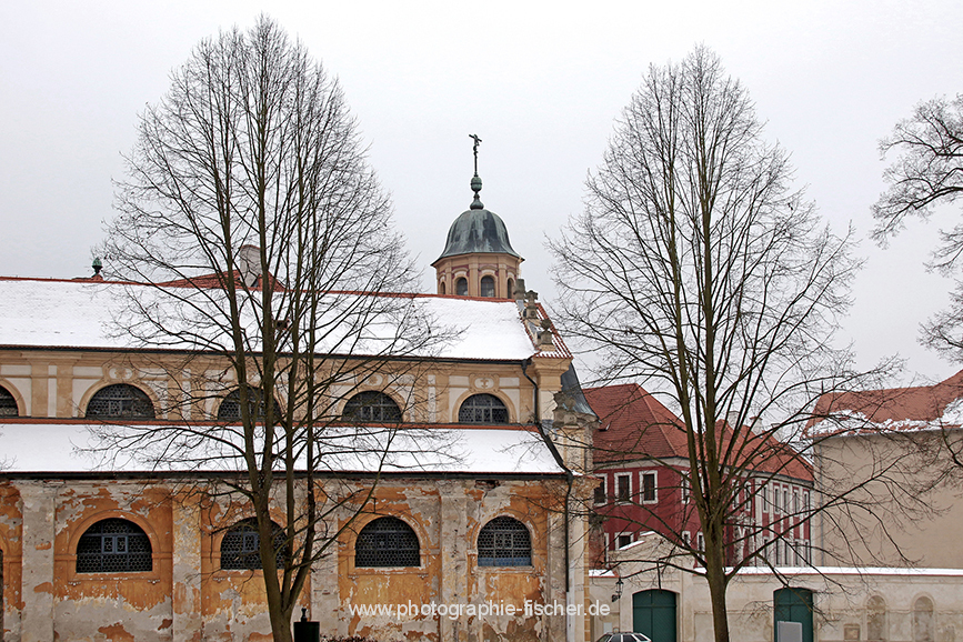 CZE0013: o.T. (Kloster Plasy, Region Plzen, Tschechien 2017)